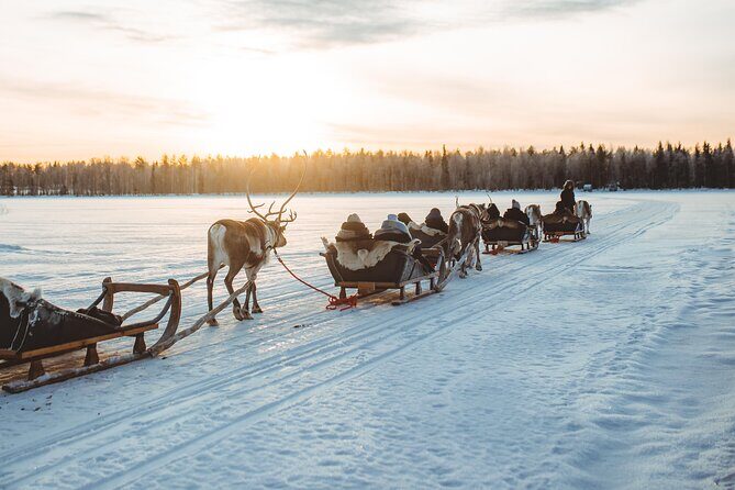 Apukka Reindeer Journey - The Itinerary and What To Expect
