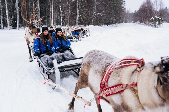 Apukka Reindeer Journey - Practical Tips for Visitors