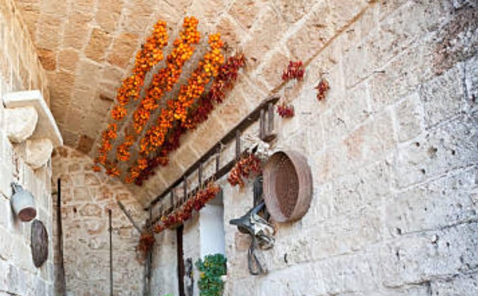 Apulia: Guided Vineyard Tour With Wine Tasting - Key Points