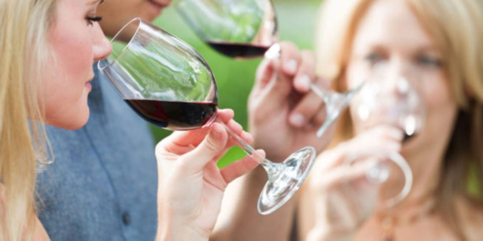 Apulia: Guided Vineyard Tour With Wine Tasting - Ask Away