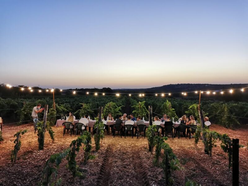 Apulia: Guided Wine Tasting With Local Appetizers - Languages and Availability