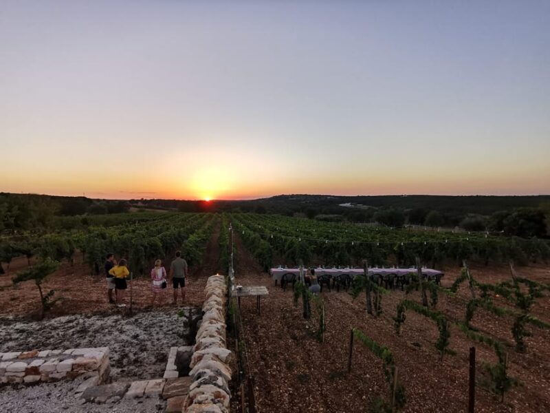 Apulia: Guided Wine Tasting With Local Appetizers - Cancellation and Booking Flexibility