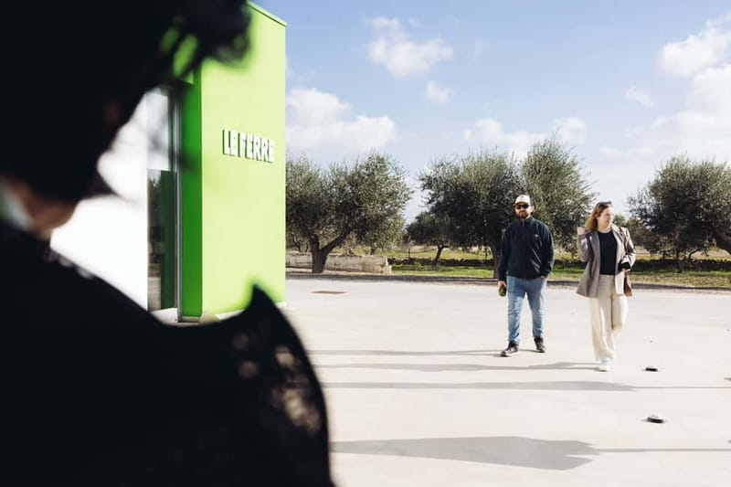 Apulia: oil tour, from field, to bottle, to food matching - Walking Among the Olive Trees