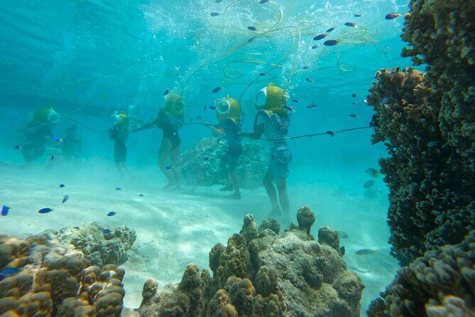 Aquablue Moorea - Transportation, Duration, and Group Size