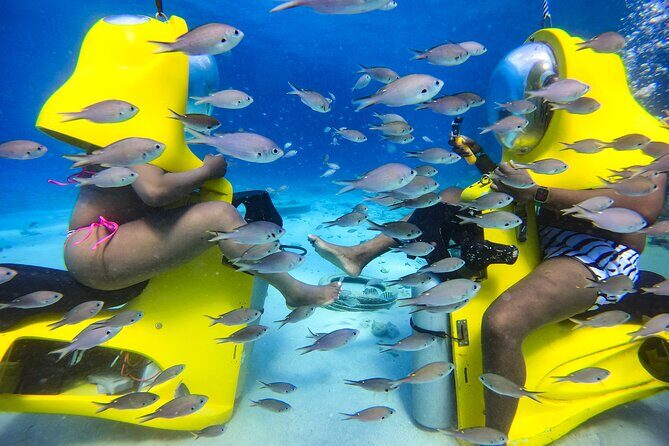 Aquafari Tour in Curaçao - Practical Details to Consider