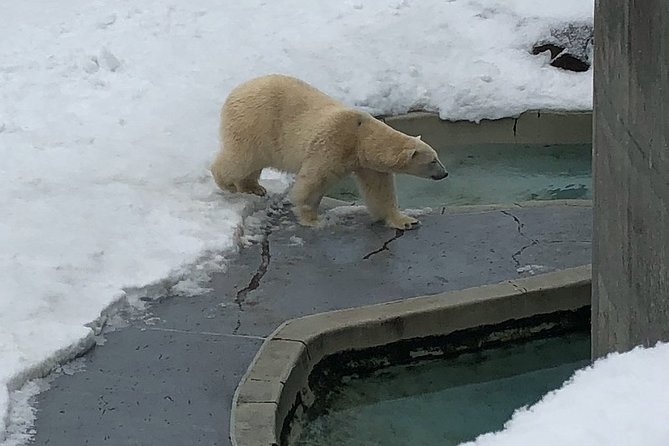 Aquarium Du Quebec: a Playground Overflowing With Life! - Captivating Animal Encounters