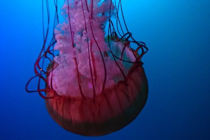 Aquarium Du Quebec: a Playground Overflowing With Life! - Convenient Location and Accessibility
