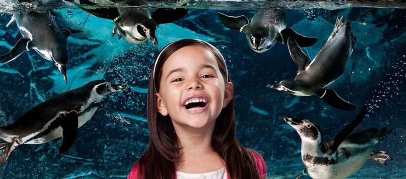 Aquarium of Cattolica Entry Ticket - Location and Contact Information