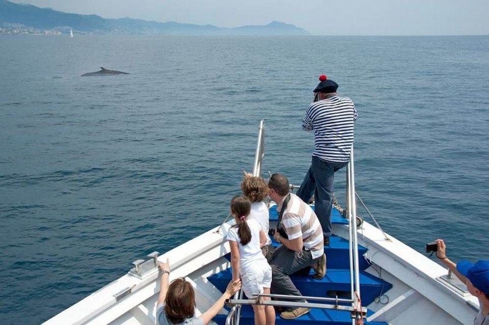 Aquarium of Genoa Ticket and Whale Watching Cruise - Key Points