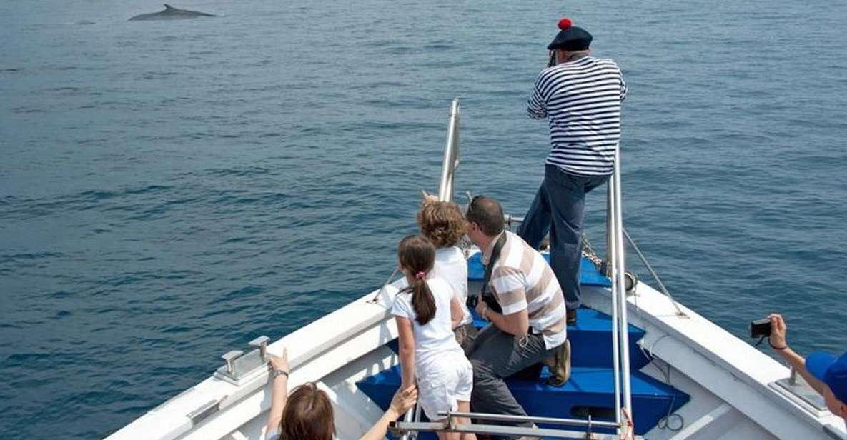 Aquarium of Genoa Ticket and Whale Watching Cruise - Whale Watching Details