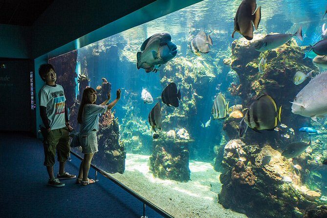 Aquarium Package in Nouméa's with Admission with Hop-on Hop-Off - Key Points