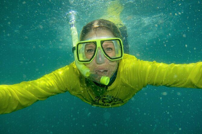 Aquascene Circumnavigation Magnetic Island Tour - Who Will Love This Tour?