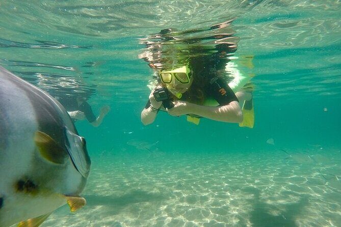 Aquascene Circumnavigation Magnetic Island Tour - FAQ