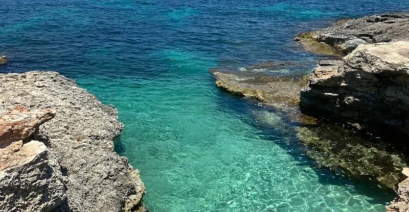 Aquatic Day Escape - Trips in Gozo, Comino & Malta - The Bottom Line: Who Is This Best For?