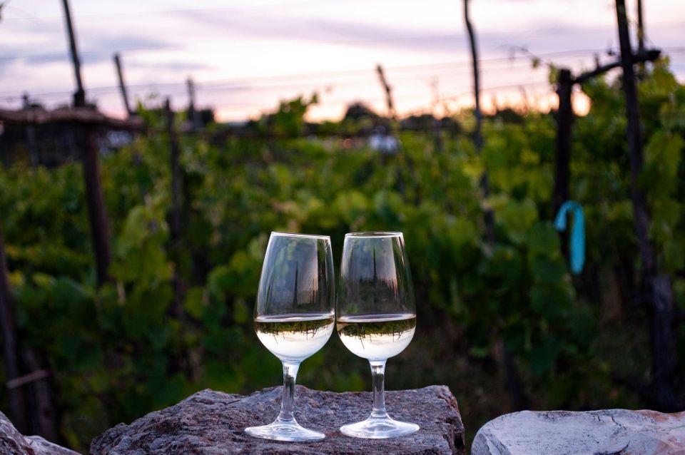 Aqueduct Cycle Path With Wine Tasting in the Winery - Cycling Route Highlights