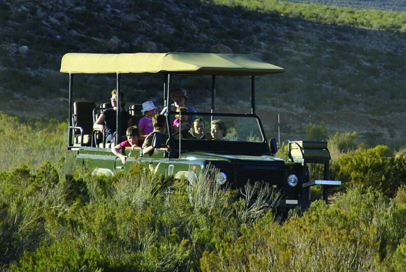 Aquila Reserve: Private Day Tour With Shared Game Drive - Arrival and Breakfast