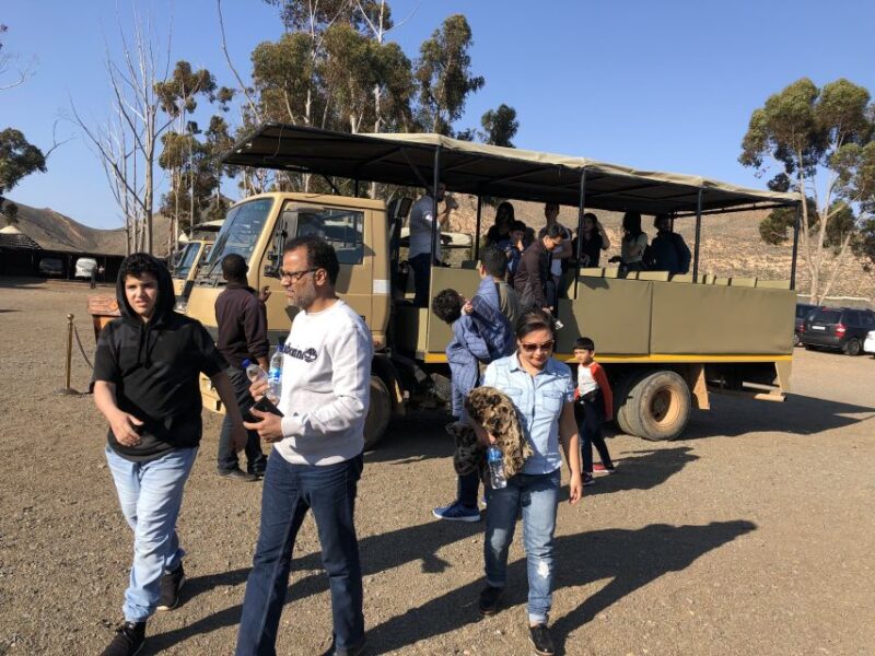 Aquila Reserve: Private Day Tour With Shared Game Drive - Wildlife Encounters