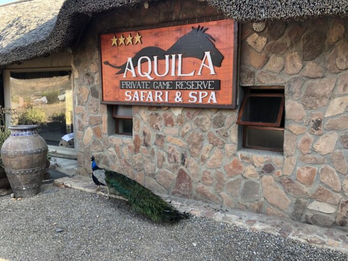 Aquila Reserve: Private Day Tour With Shared Game Drive - Wine Tasting Excursion