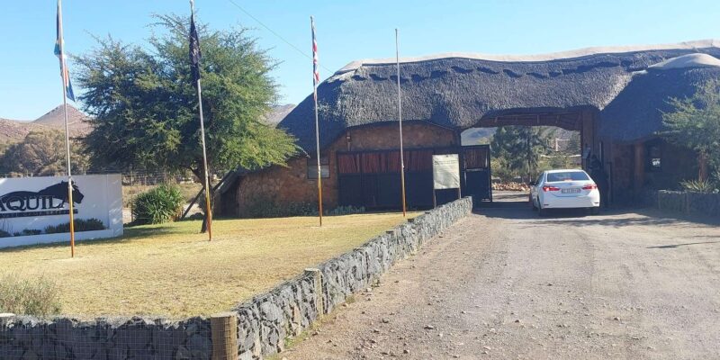 Aquila Safari, Entry Tickets & Transport From Cape Town Incl - Good To Know