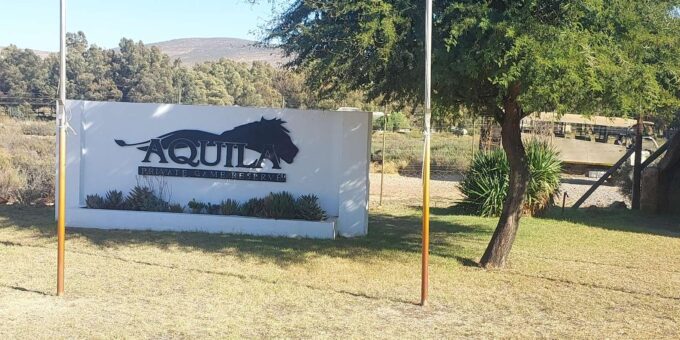 Aquila Safari, Entry Tickets & Transport From Cape Town Incl - Frequently Asked Questions