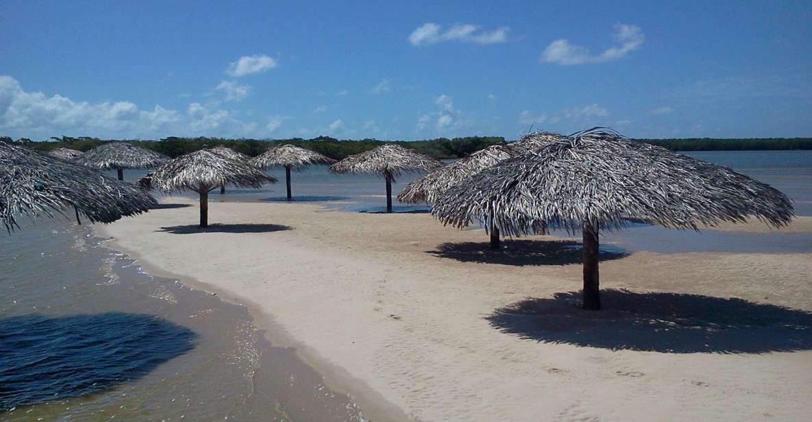 Aracaju: Tour to Croa Goré and Namorados Island - Key Points