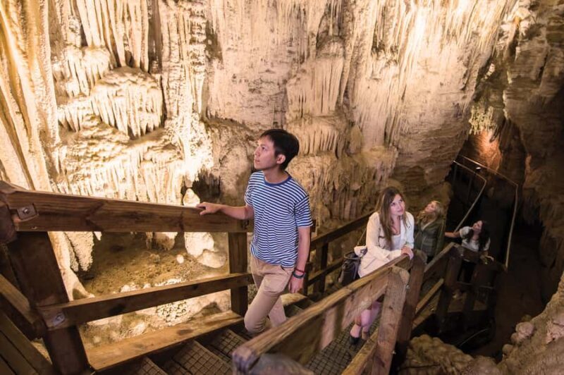Aranui Cave 1-Hour Guided Tour - An Authentic Cave Experience Close to Waitomo
