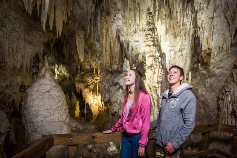 Aranui Cave 1-Hour Guided Tour - What to Expect During the Tour