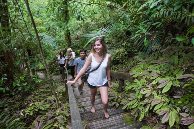 Aranui Cave 1-Hour Guided Tour - Summary of the Experience