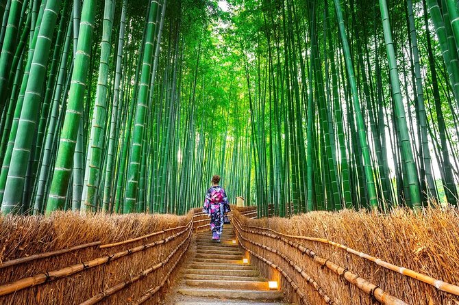 Arashiyama Autumn Leaves & Sanzen-In Temple Tour From Osaka/Kyoto - Meeting and Accessibility