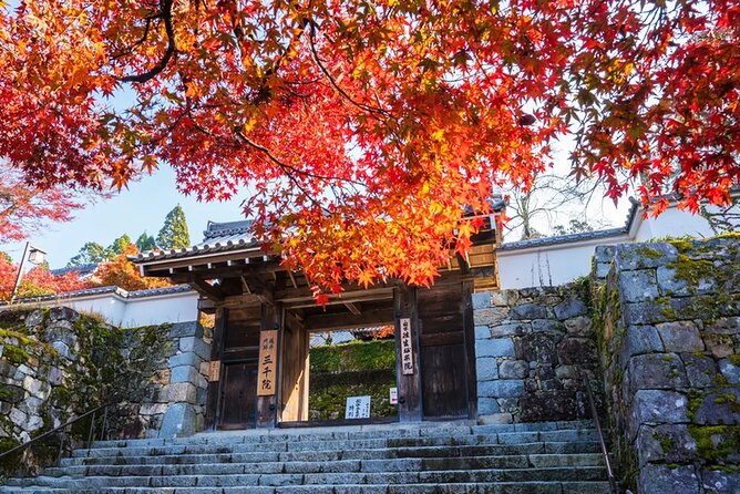 Arashiyama Autumn Leaves & Sanzen-In Temple Tour From Osaka/Kyoto - Highlights of Arashiyama Autumn Leaves