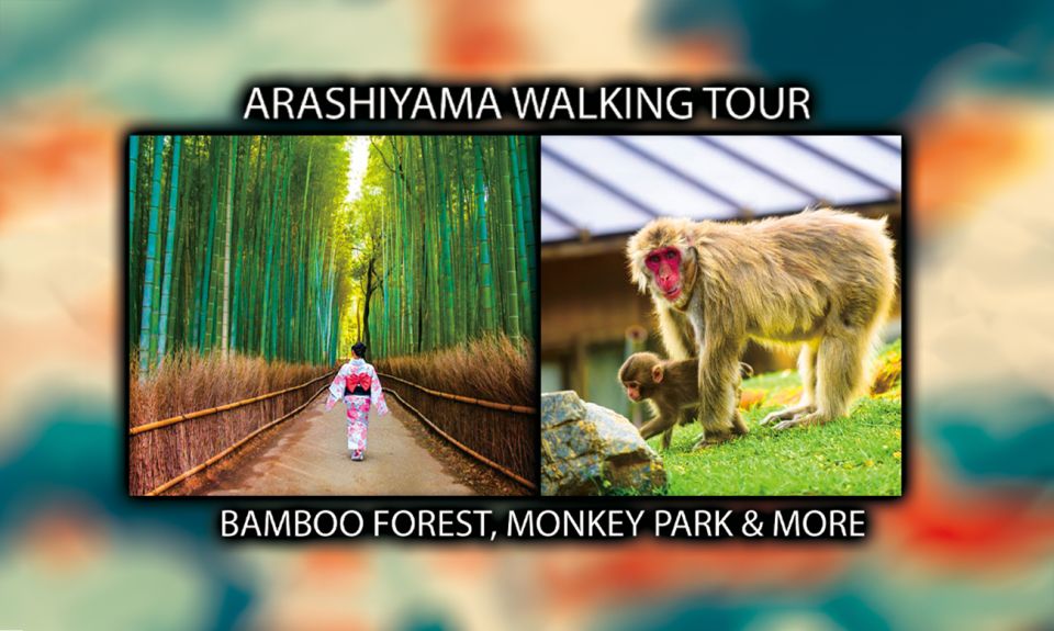 Arashiyama Kyoto Bamboo Forest, Monkey Park & Secrets Travel Buddies
