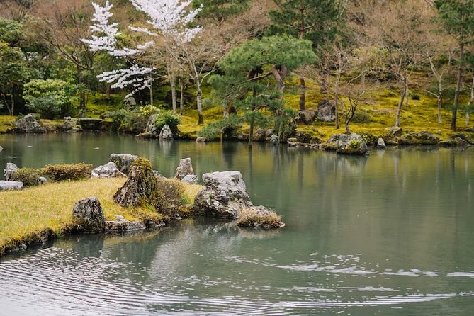 Arashiyama Walking Tour - Bamboo Forest, Monkey Park & Secrets - Bamboo Forest