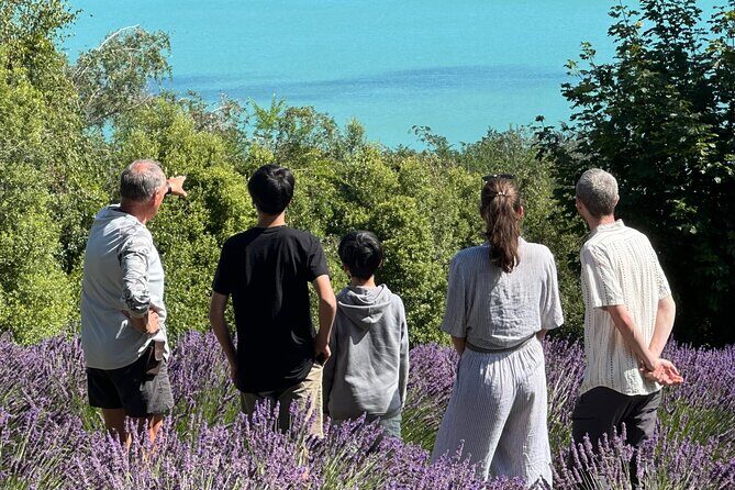 Arataki Conservation - our Journey to Protect our Whenua (land) - Introduction