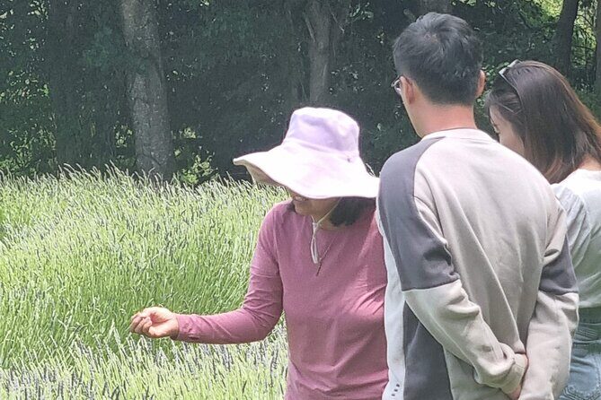 Arataki Conservation - our Journey to Protect our Whenua (land) - What to Expect from the Experience