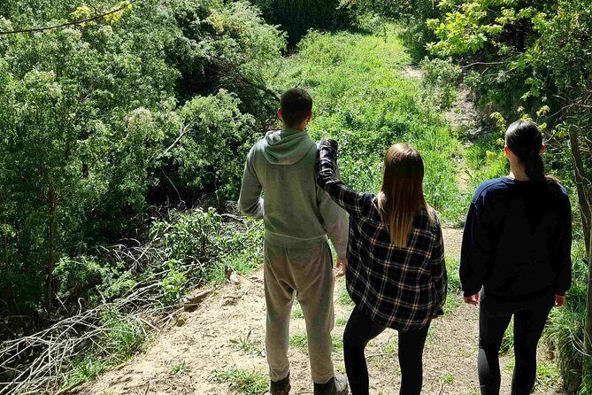 Arataki Conservation - our Journey to Protect our Whenua (land) - The Sum Up