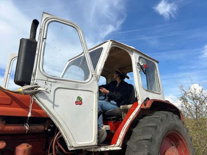 Arbanasi: 40-Minute Tractor Self-Driving Experience - An In-Depth Look at the Experience