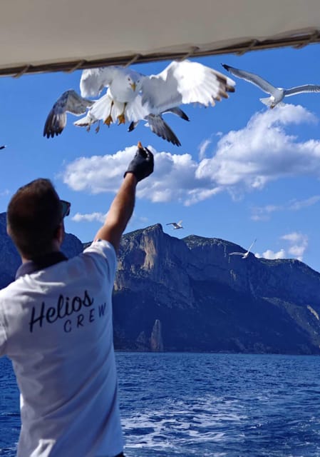 Arbatax: Gulf of Orosei Day Tour by Boat - Tour Overview