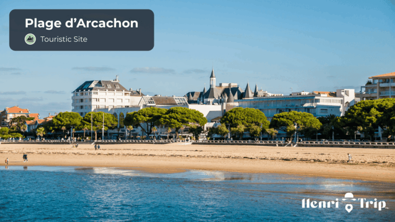 Arcachon : The Only Guide - Flexible Activation and Scheduling