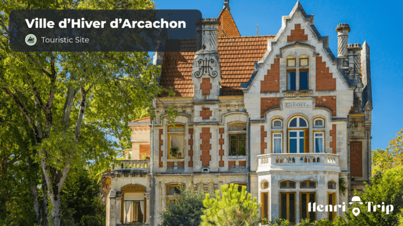 Arcachon : The Only Guide - User Reviews and Feedback