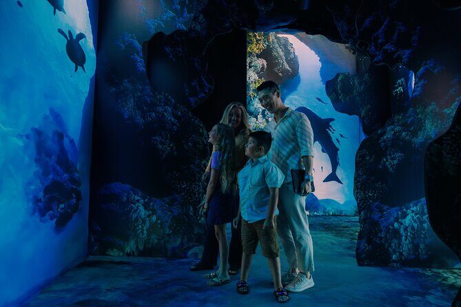 Arcadia Earth Toronto - An Immersive Art Experience - Introduction