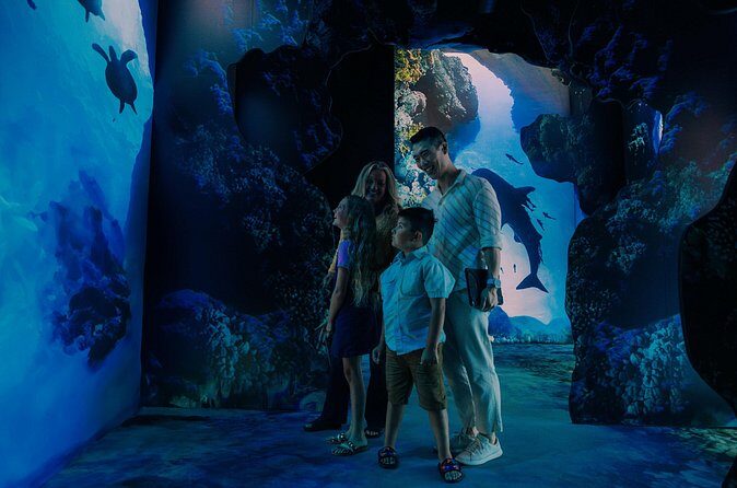 Arcadia Earth Toronto - An Immersive Art Experience - Practical Tips for Visiting