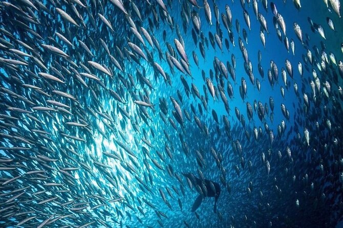 Arch Boat Tour and Snorkeling at Pelican Rock - Booking and Cancellation Policy