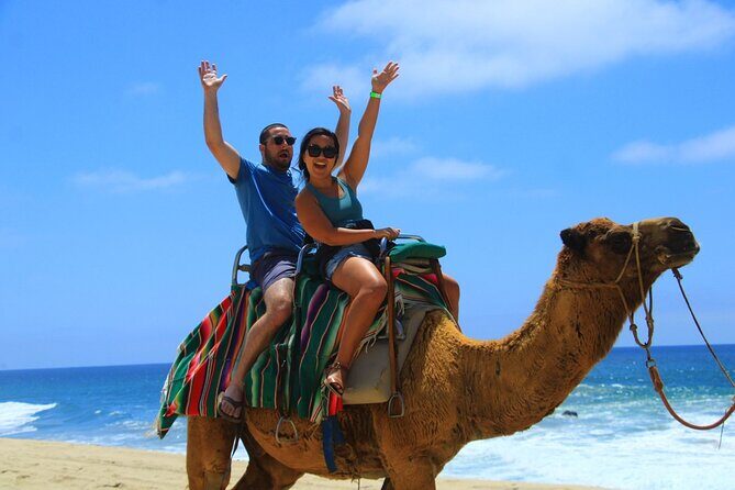 Arch Camel Ride and Glass Boat Tour - Key Points