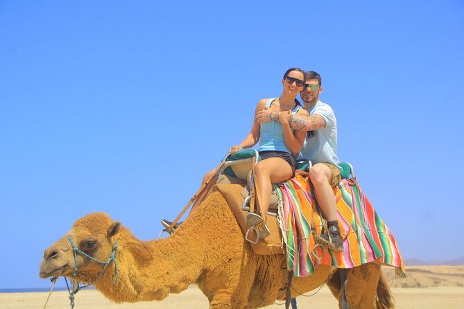 Arch Camel Ride and Glass Boat Tour - Who Will Love This Tour?