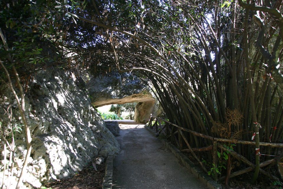 Archaeological Syracuse: Neapolis Park Private Tour - Exploring Neapolis Archaeological Park