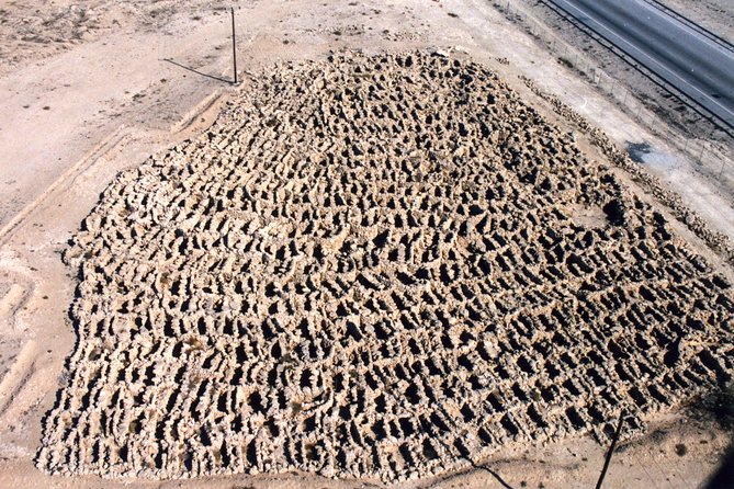 Archaeological Tour Bahrain - Unique Cultural Experiences