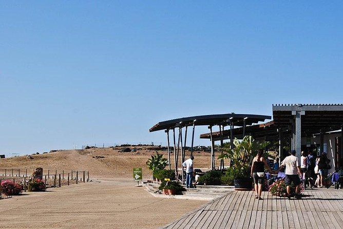 Archaeological Tour of Nora - Good To Know