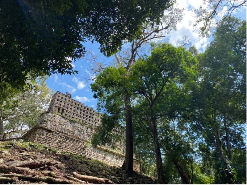 Archaeological Zones Yaxchilan & Bonampak - Detailed Review of the Tour Experience