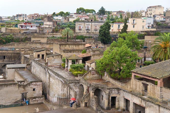 Archeological Herculaneum Private & Personalized Guided Tour - Key Points