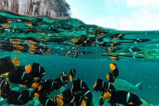 Arcos Animas and Quimixto - FAQ